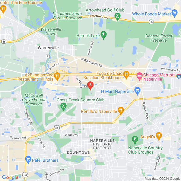 Electricians Naperville Today location map: 1733 Park Street, Naperville, Illinois
